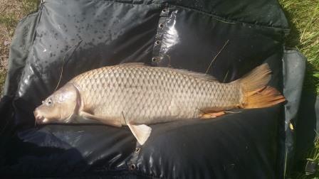 Sulimanu 6 - 8 iun. - 3.jpg